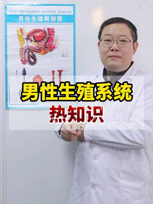 男性生殖系统热知识(一)