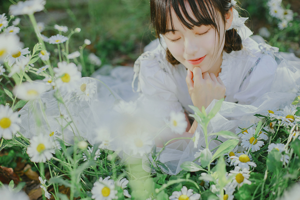 初夏の小雏菊Ⅰ-六色网