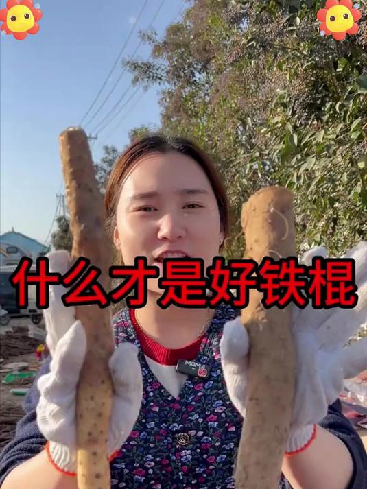 吃山药的好处,山药的功效与作用及食用方法