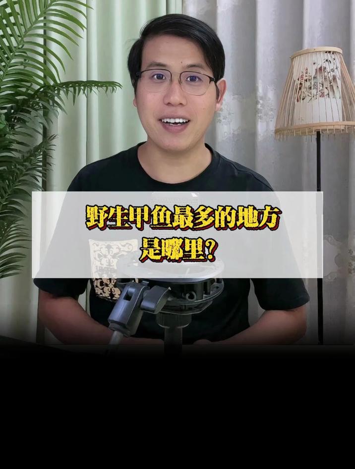 野生甲鱼最多的地方是哪里?