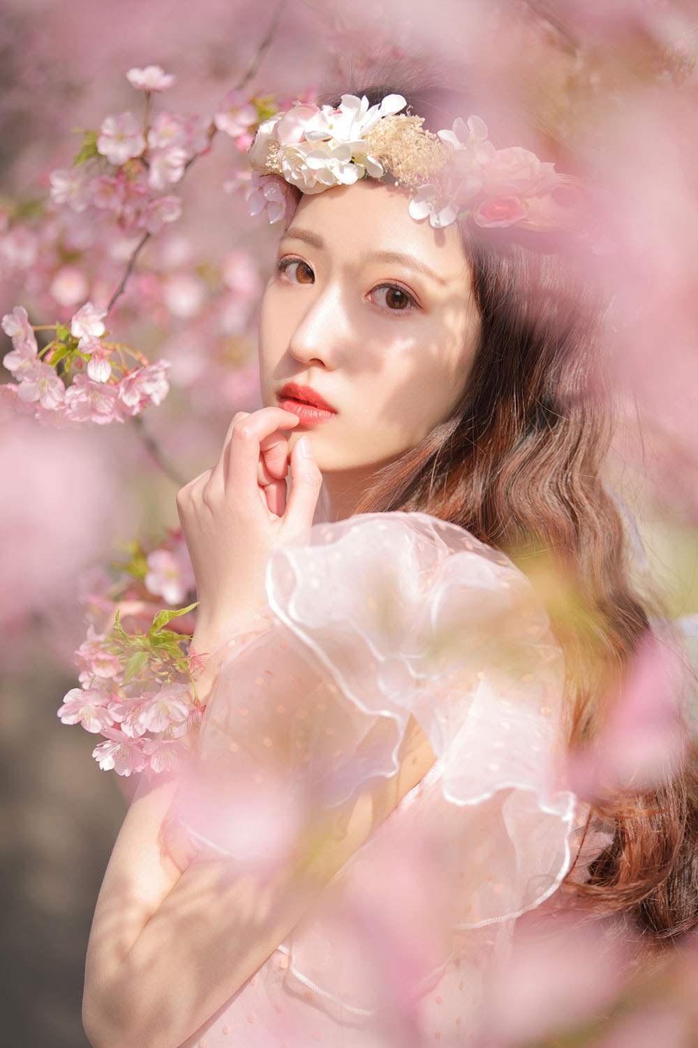 图片[38]-樱花-六色网