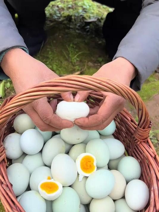 林间散养绿壳乌鸡蛋,营养丰富,破损包赔,包邮到家