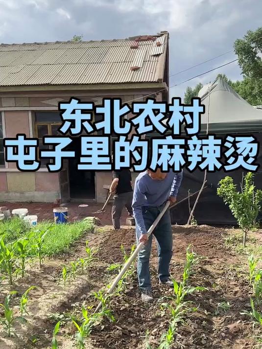 屯子里的东北麻辣烫 #春日收藏家#