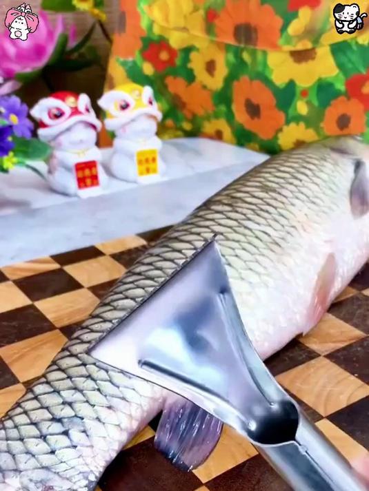 家用不锈钢鱼鳞刨，轻松去鱼鳞，不伤鱼肚，好用不贵，赶紧抢！