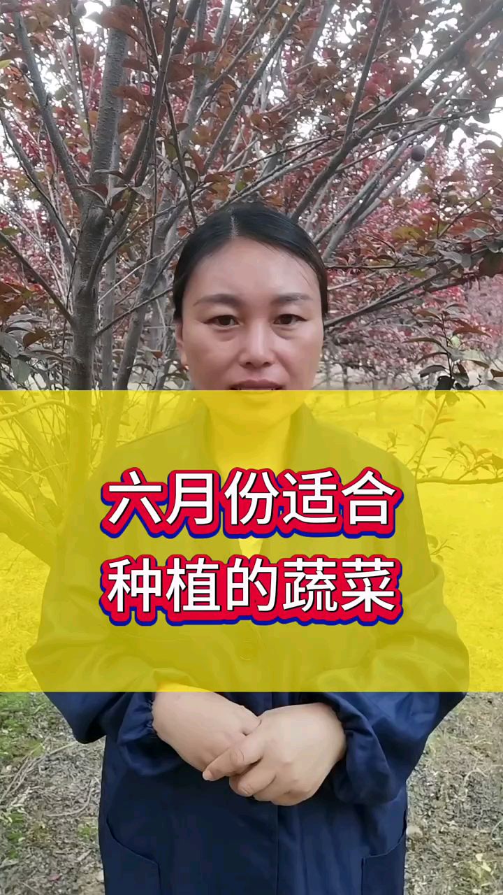 六月份适合种植的蔬菜