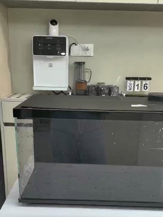 当贝智能鱼缸1 Ultra体验