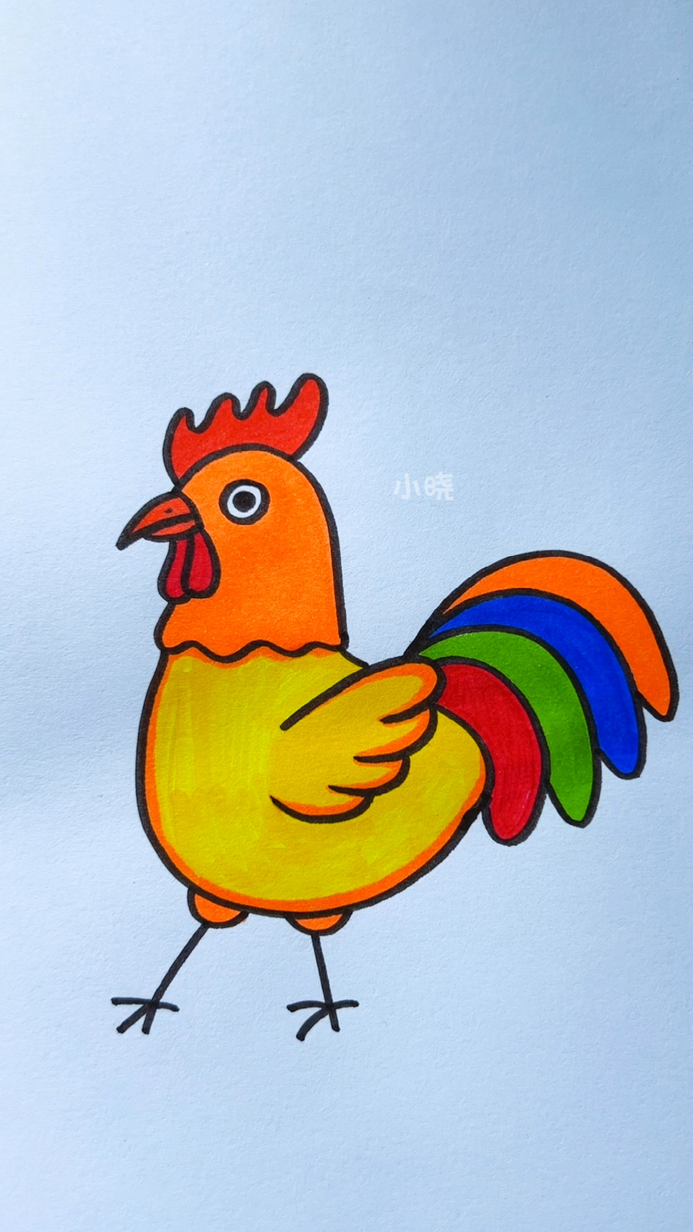 简笔画公鸡!