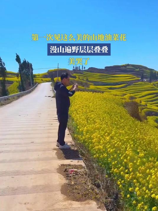 第一次见这么美的山地油菜花,漫山遍野层层叠叠,美哭了!