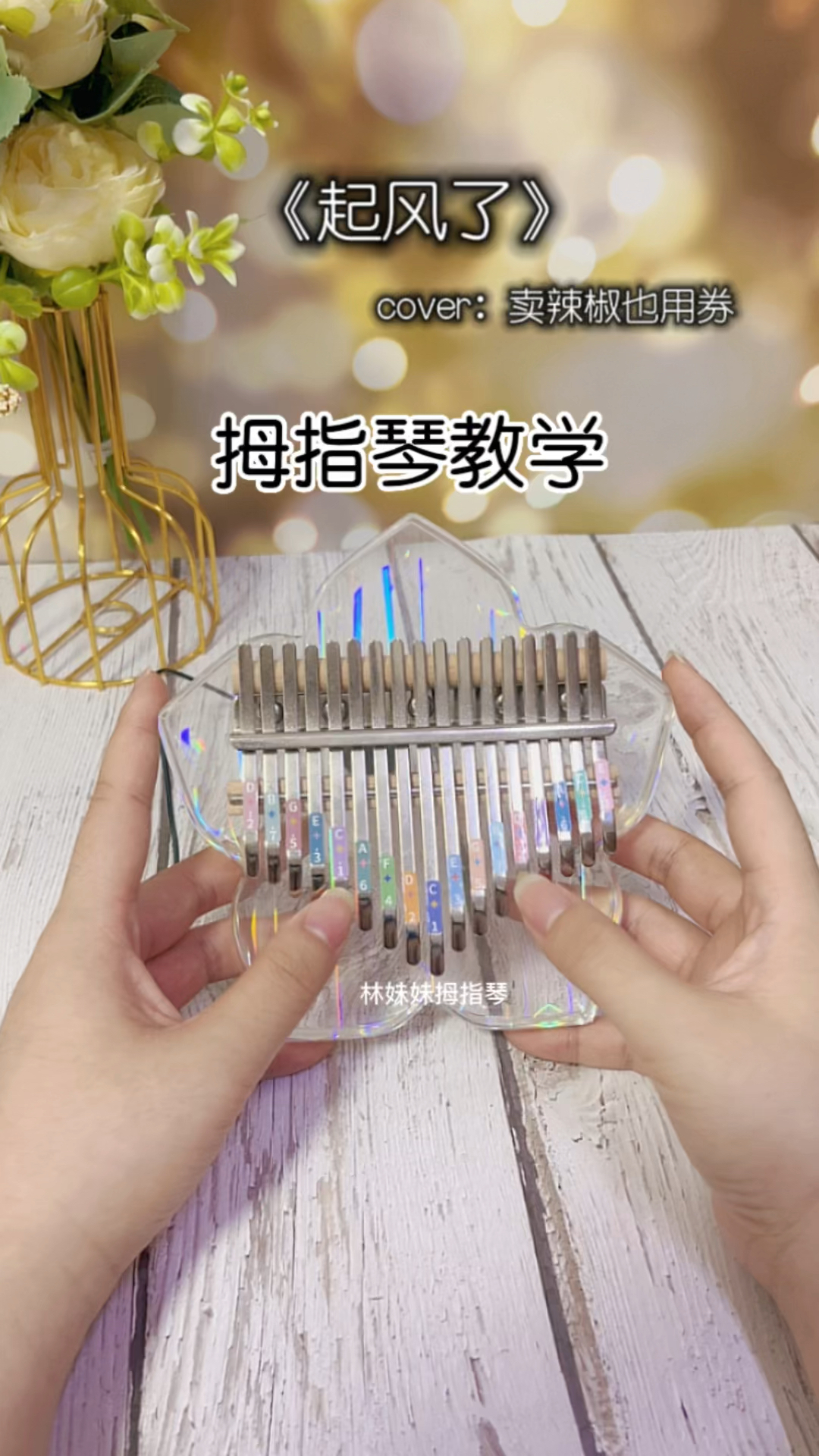 《起风了》拇指琴教学