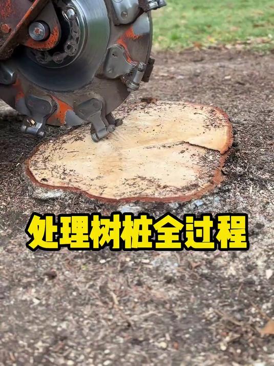 原来公园里的鹅卵石是这样铺设的