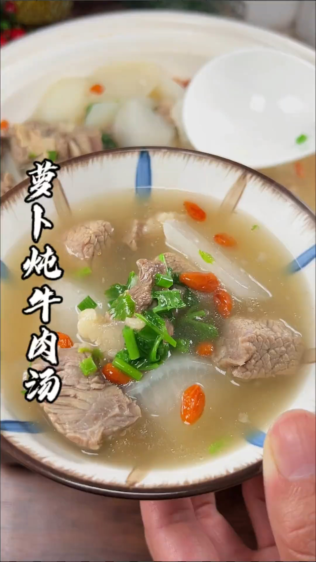 萝卜炖牛肉#简单美味家常菜做法 #抖音美食推荐官