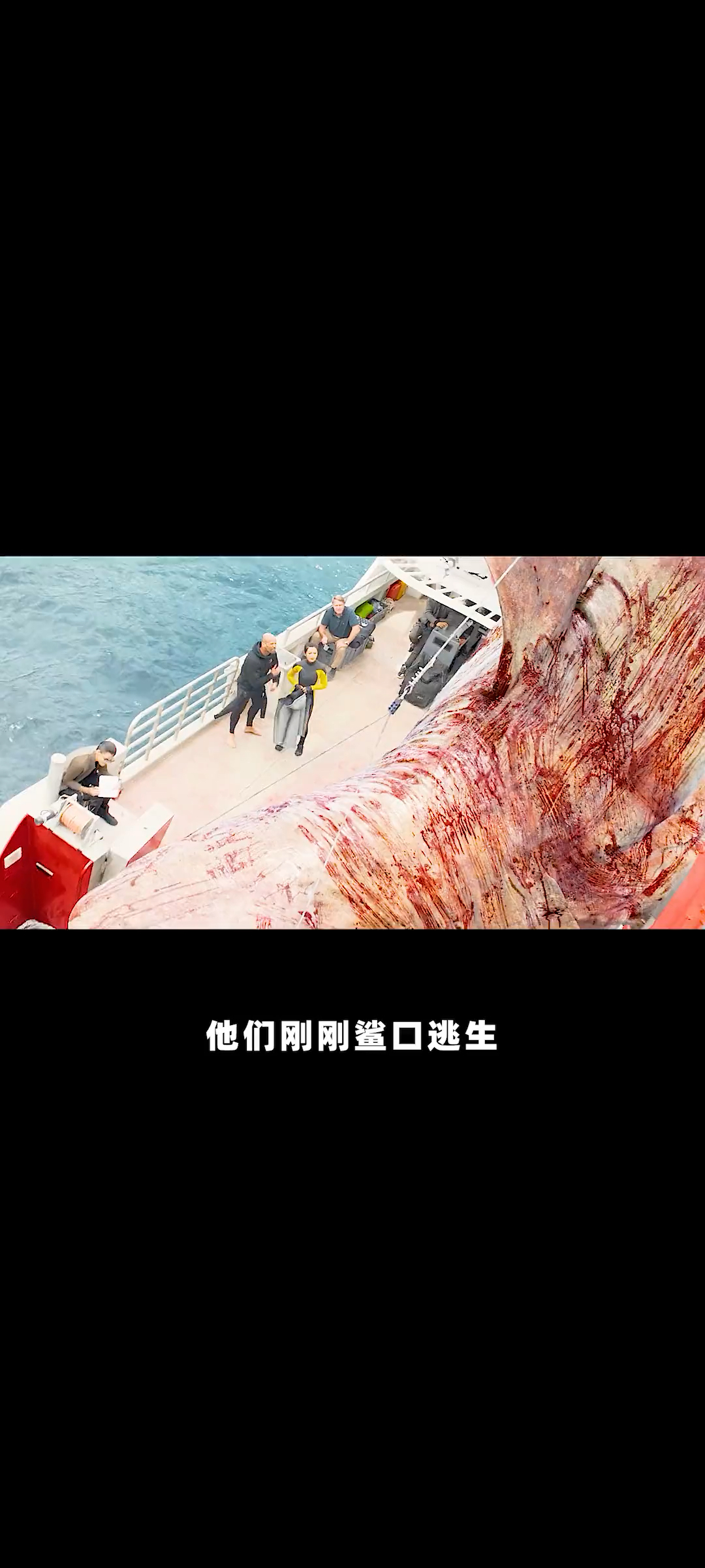 巨齿鲨2  大鱼吃小鱼