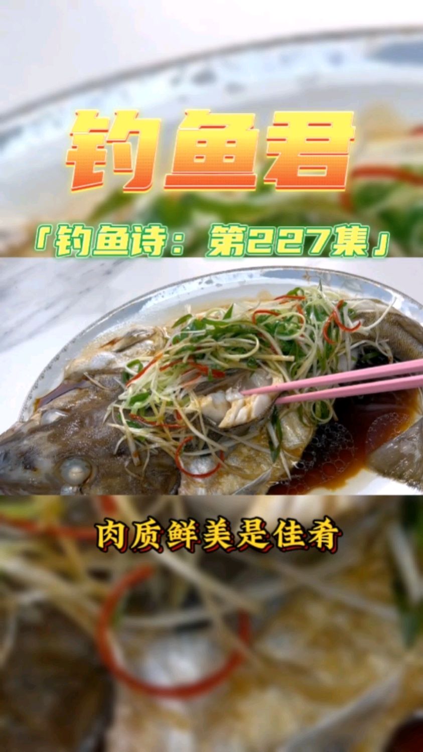 钓鱼君之钓鱼口诀:第227集(钓大头星鱼)鱼类百科 钓过此鱼吗?