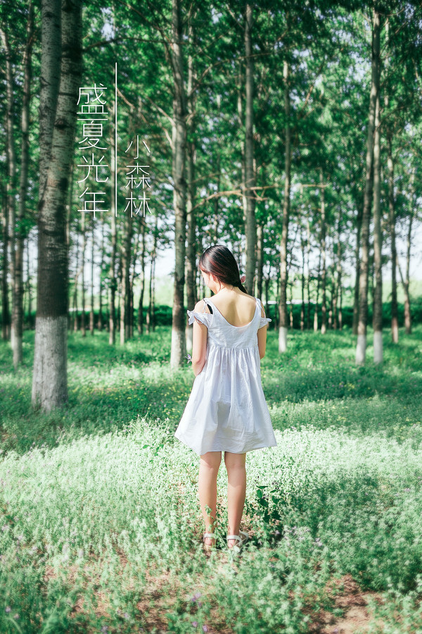 图片[5]-盛夏光年·小森林-六色网
