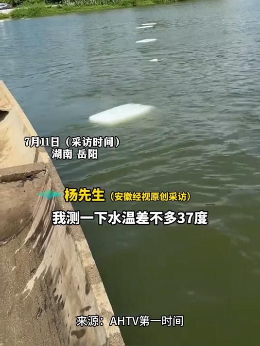 37度水温，鱼儿“中暑”浮在水面，养殖户往鱼塘投冰块降温