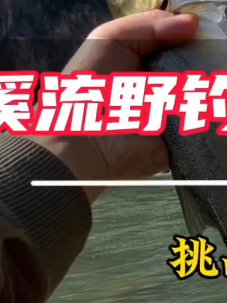 挑战大江细鳞鱼，鱼情暴躁！