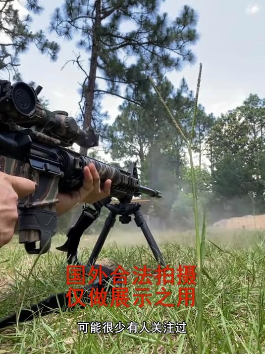 大鹅的主流火力输出，没想到颜值也这么高