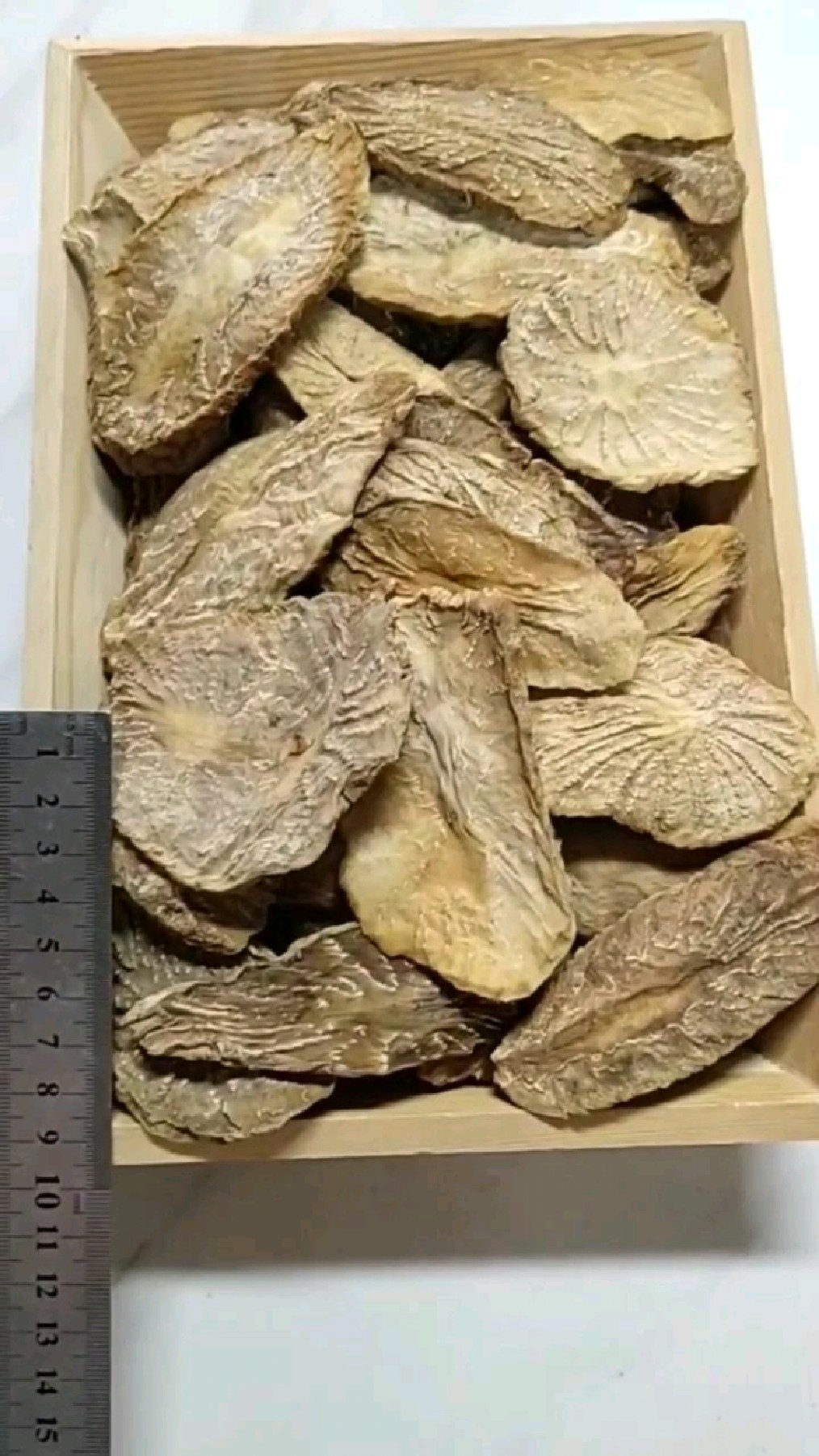 肉苁蓉切片,肉苁蓉鲜干片(这么大的切片你肯定没见过)
