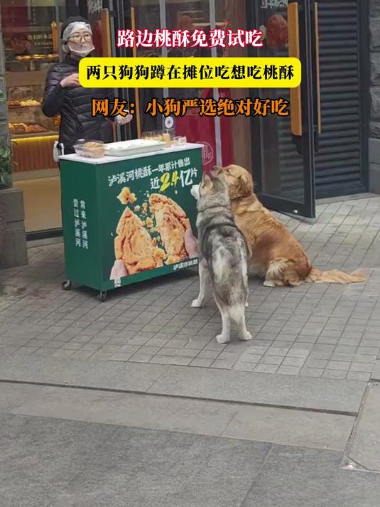 路边桃酥免费试吃,两只狗狗蹲在摊位吃想吃桃酥