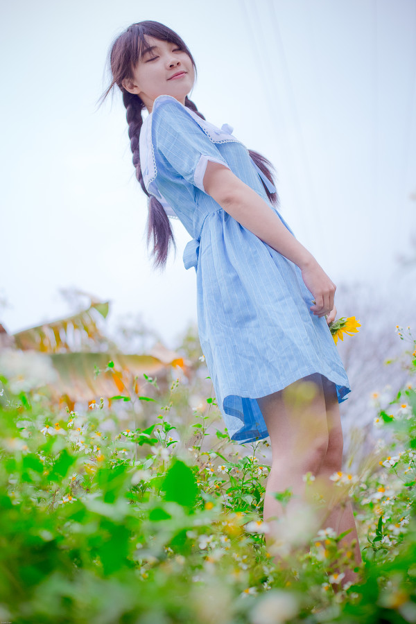 图片[7]-向日葵少女-六色网