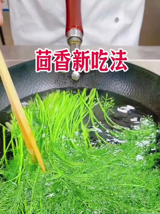 解锁茴香最好吃的新做法,快学起来吧