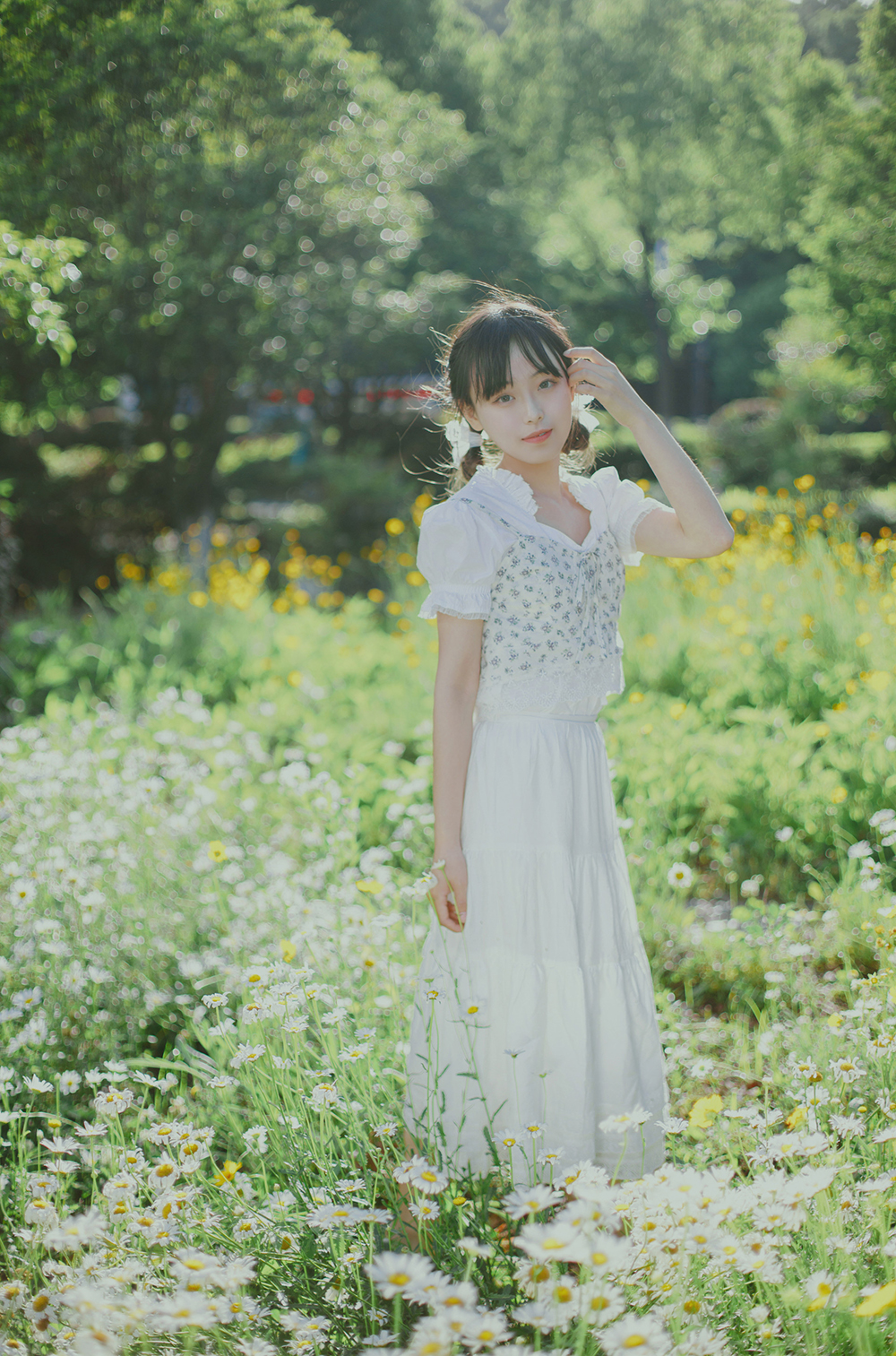 图片[12]-初夏の小雏菊Ⅱ-六色网
