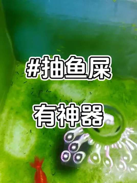 新手养鱼必备:吸鱼屎神器,轻松解决水质问题