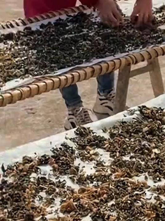 梅干菜的家常做法做法不仅简单还非常下饭