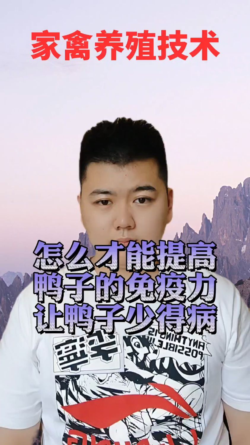 #肉鸭免疫力怎么提高给鸭吃什么增强免疫力鸭子吃什么可以提高免疫力鸭子平时喂什么预防