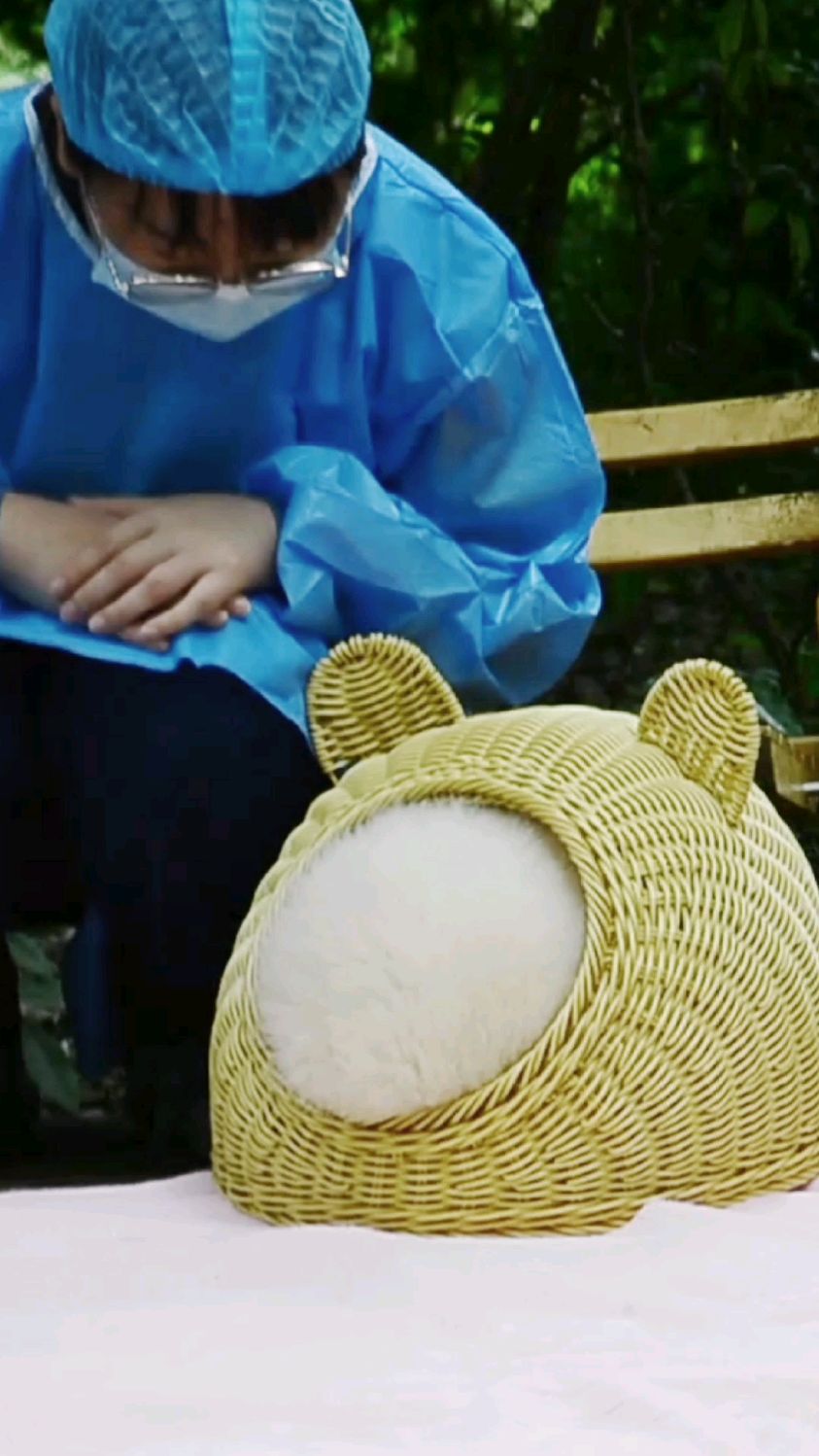 这样的汤圆,一口气能吃几个?