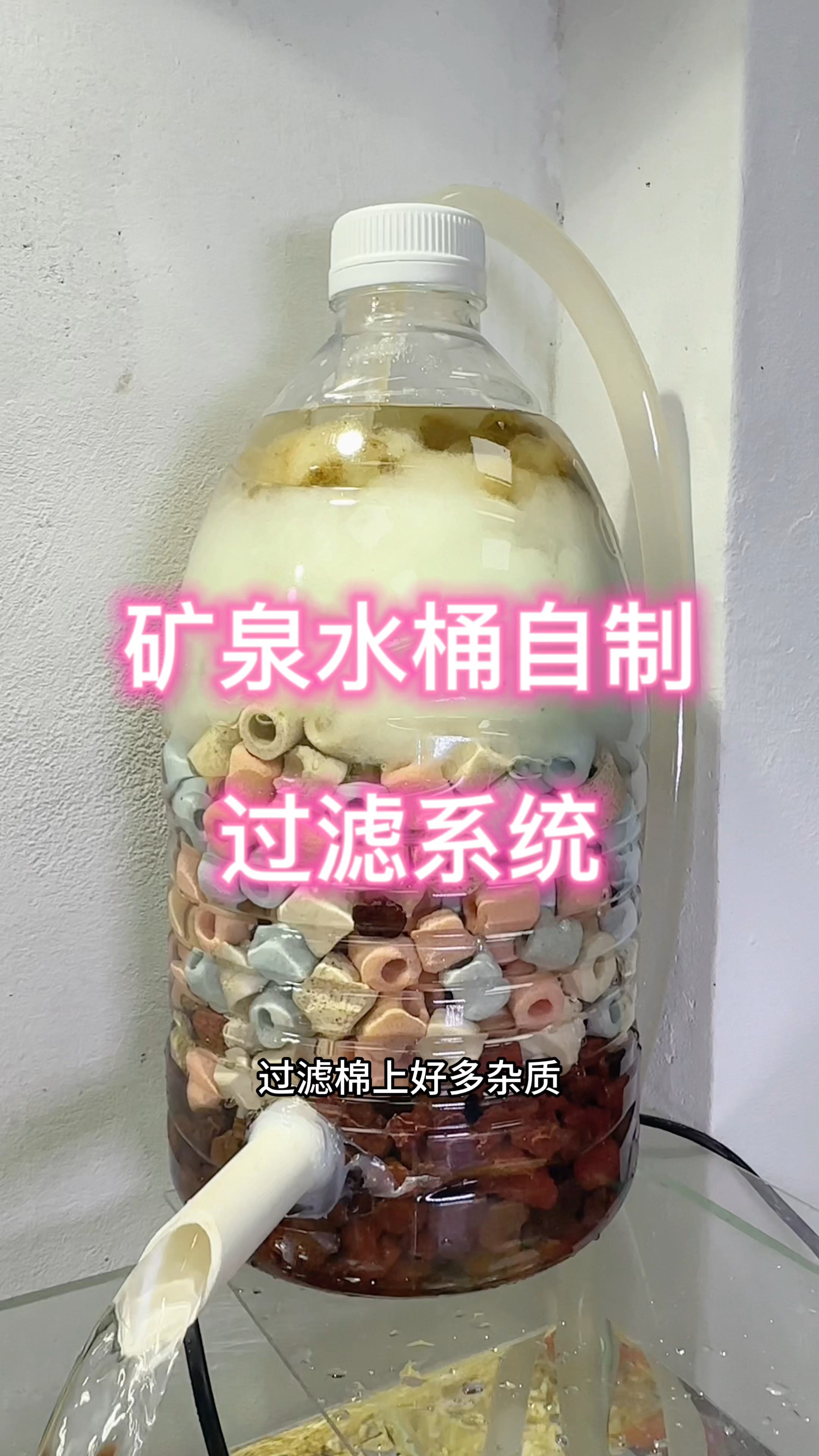 矿泉水桶过滤来咯,成本低,还实用哦!#水族 #鱼缸里的大自然 #鱼儿水中游