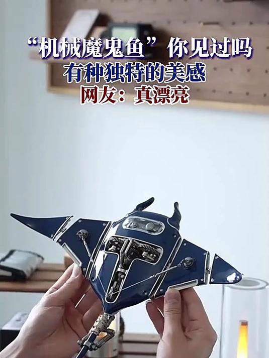 “机械魔鬼鱼”你见过吗,有种独特的美感,网友:真漂亮