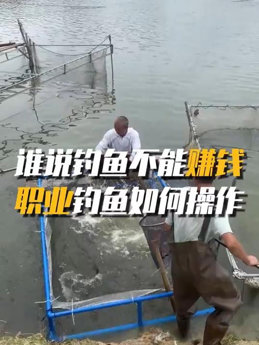 谁说钓鱼不能赚钱,职业钓鱼人讲的就是操作模式
