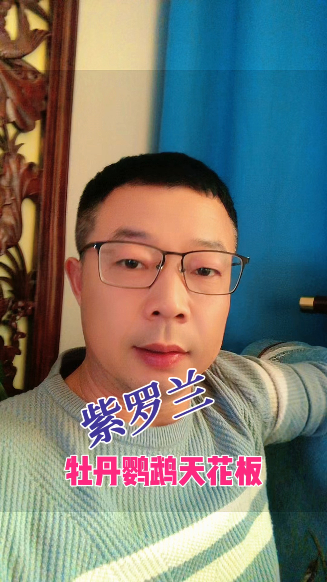 杂毛高纯重紫再谈紫罗兰鹦鹉