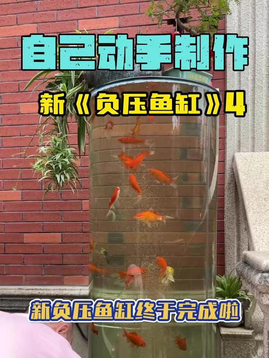 自己动手制作的新负压鱼缸终于完成啦!还缺什么,你们说,我来做