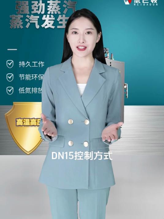 电蒸汽发生器具体参数和优势
