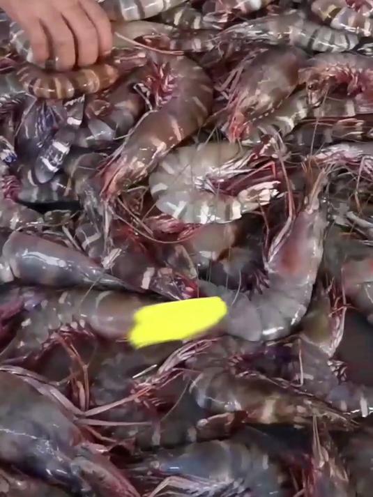 黑虎虾煮玉米!鲜甜搭配,超搭