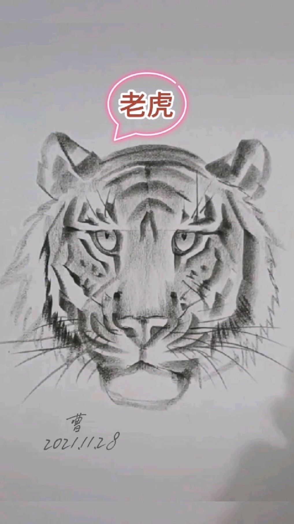 素描:用铅笔也能画出栩栩如生的老虎头