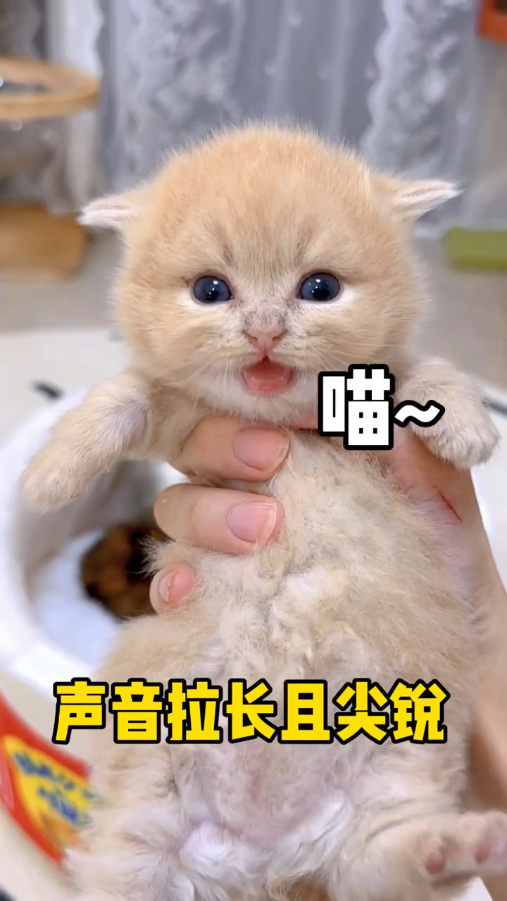 叫着叫着就长大了