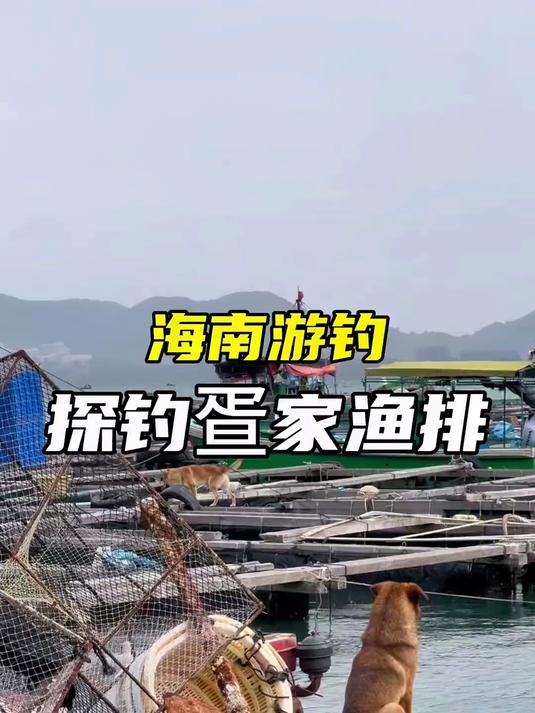 来陵水体验鱼排文化，一不小心就成了当天的排冠