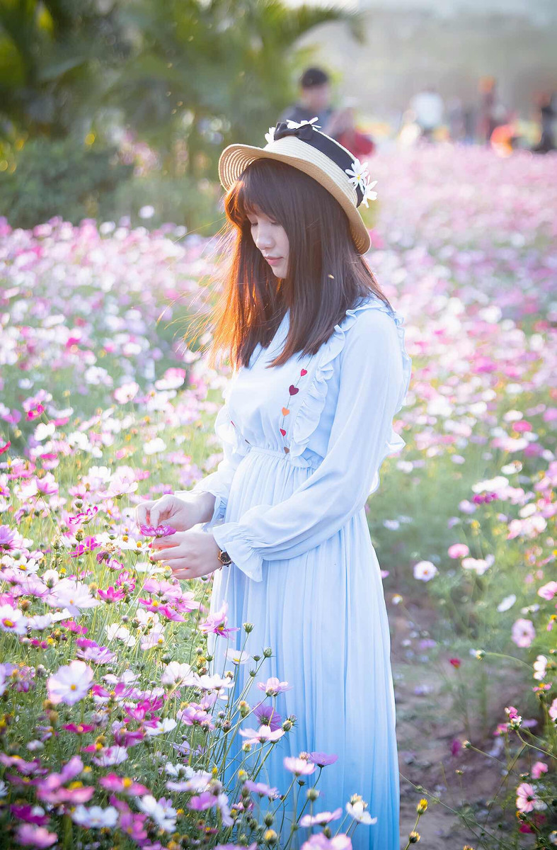 图片[13]-格桑花-六色网