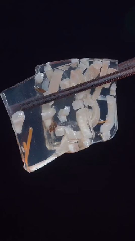 猪肉皮冻的做法