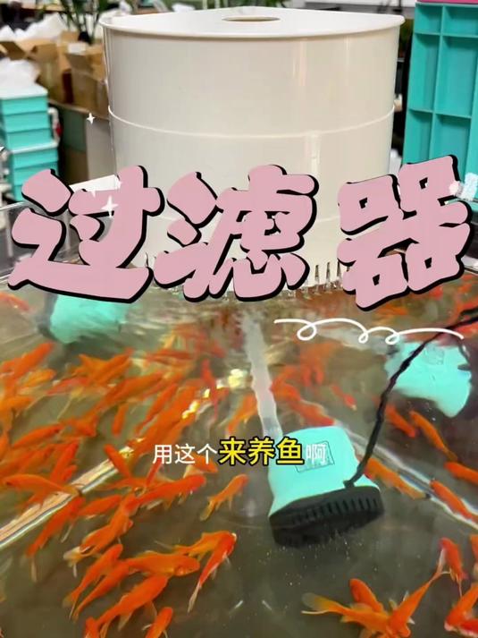 鱼缸鱼池过滤器净水循环养鱼周转箱增氧循环系统过滤设备