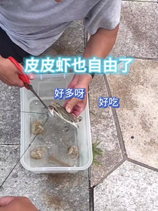 实现皮皮虾自由就是这么简单！