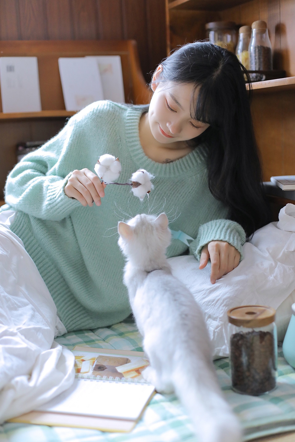 图片[12]-是我的小猫呀-六色网