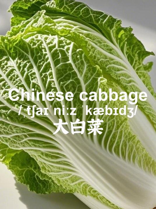 10秒记单词 大白菜 Chinese cabbage
