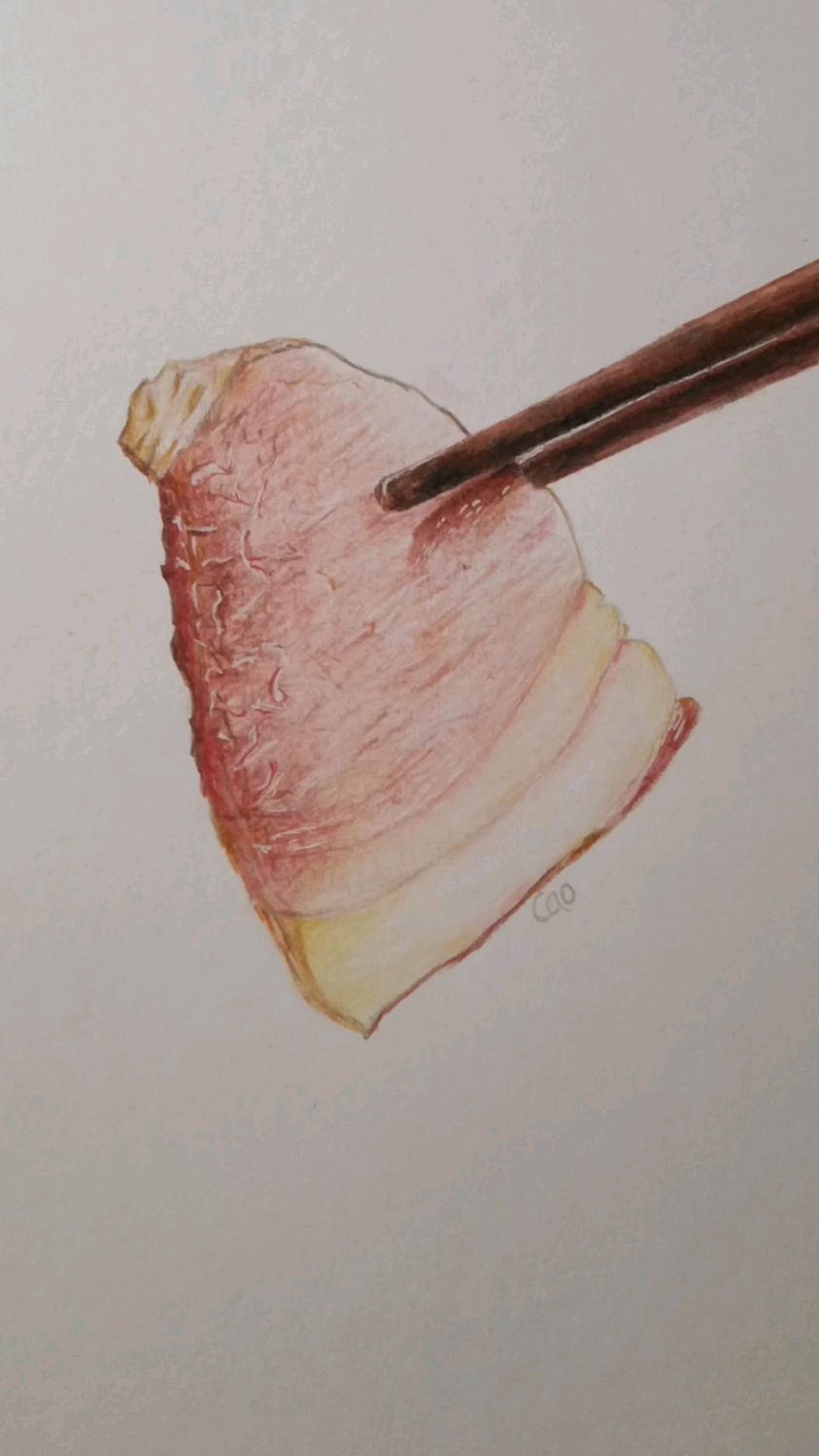 彩铅简笔画:教大家画香喷喷的肉