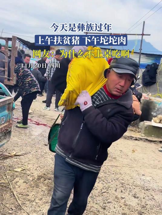 今天是彝族过年,上午扶贫猪,下午坨坨肉,网友:为什么不上桌吃