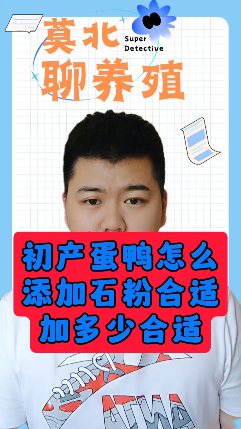 #初产蛋鸭的石粉配比是多少蛋鸭加石粉的标准是多少蛋鸭喂石膏粉有什么作用鸭用石粉