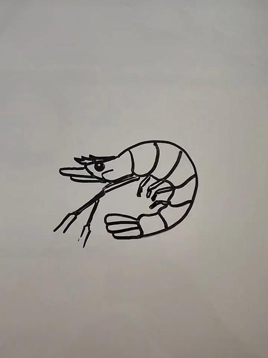 一不小心走进了画里，简笔画教程——画一只虾